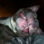 Dirk Bryant - @bryant.dirk - Instagram