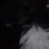 Dirk Bryant Zipag726 - @dirkbryantzipag72 - TikTok