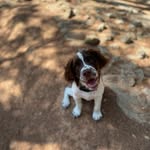 Dirk Burns - @dirkerb9896 - Instagram
