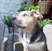 Dirk Ceulemans - Facebook