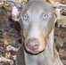 Dirk Coleman - Facebook