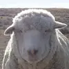 dirkcosner - @dirkcosner - TikTok