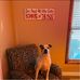 Dierk Copeland - Facebook