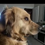Dirk Cussler - @senordirkcussler - Instagram