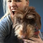 Dirk Landman - @dachshund_dirk - Instagram