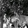 Dirk - @dirk_herrmann - TikTok