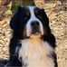 Dirk Herrmann - Facebook