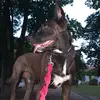 Dirk Herrmann - @dirk.herrmann68 - TikTok