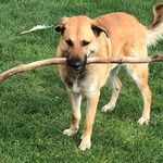 Dirk Herrmann - @zauberer0202 - Instagram