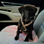 Dirk Mitchell - @promizeone - Instagram