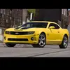 Bumble_Bee_D - @dirk_ras1974 - TikTok
