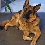 Dirk Schneider - Facebook