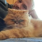 Dirk Schneider - Facebook