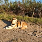 steinke dirk - @steinke_dirk - Instagram