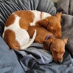 Dirk & Todd - @dirkandtodd - Instagram
