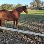 Dirk Richard Wilhelm Klebbe - @dirkrichardwilhelm - Instagram