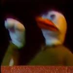 Disco Duck - @discoduckofficial - Instagram