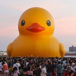 Disco Duck - @discoduckworcester - Instagram