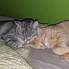 DishaParmar - @disha_parmarr - TikTok