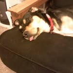 Dita Lee - @booger_boogie_butt - Instagram