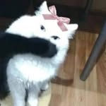 @ditaleen_mwc - Instagram