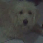 Luz Divina Guzman - @luzdivina.guzman.5 - Instagram