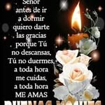 Luz Divina Guzmán Zayan - @guzmanzayan - Instagram