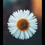 Divina lao - @divina_mae02 - Instagram