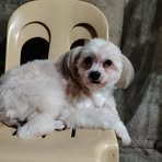 Divina Marquez - Facebook