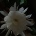 Divina Matos - Facebook