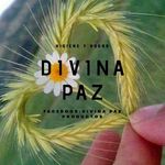 Divina paz - @divina_paz1 - Instagram