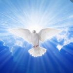 Divina Paz 🕊 Saúde Espiritual e Mental - @divinapazespiritosanto - Instagram