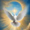 Paz Divina - @paz.divina61 - TikTok