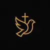 Paz Divina - @paz.divina_ - TikTok