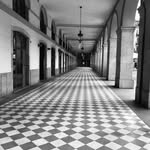 divina sanchez - @marketing_girona - Instagram