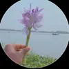 DIVINE 🌺 - @divine_.emmanuel - TikTok
