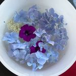 Kiara - @whitelotusdivinity - Instagram