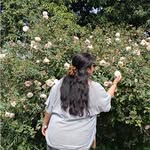 Divpreet Kaur - @divpreet.97 - Instagram