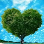 Divya Chacko - Facebook