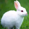 user168196 - @divyadharshini639 - TikTok