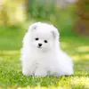 Divya - @divya_kashyap_10 - TikTok