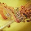 Divya Sehgal... - @divyasehgal33 - TikTok