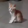 divya - @divyashinde2204 - TikTok