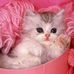 Divya Varghese - Facebook