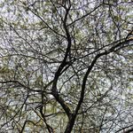 Divyang Patel - @divyang7582 - Instagram