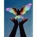 Divye Kumar Jha - Facebook