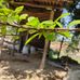 Divesh Dalal - Facebook