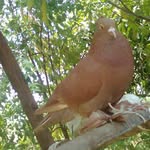 divyesh kumar patel - @divyeshkumarpatel - Instagram