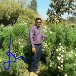 Divyeshkumar Patel - @pdivyeshkumar - Instagram