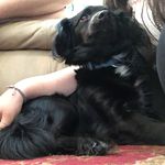 @xx_dixie_rose_abbott_xx - Instagram